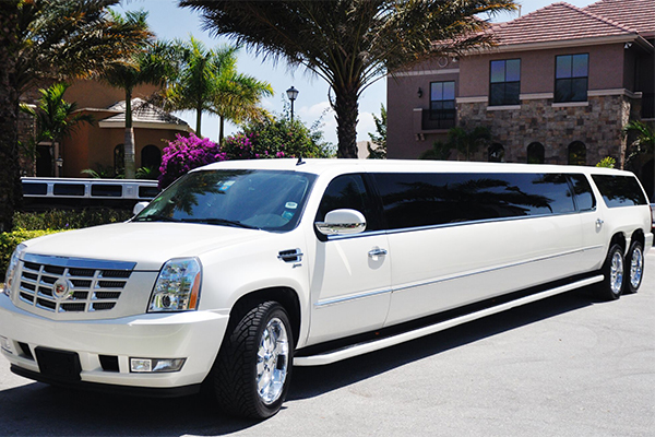 Augusta 20 Passenger Limo